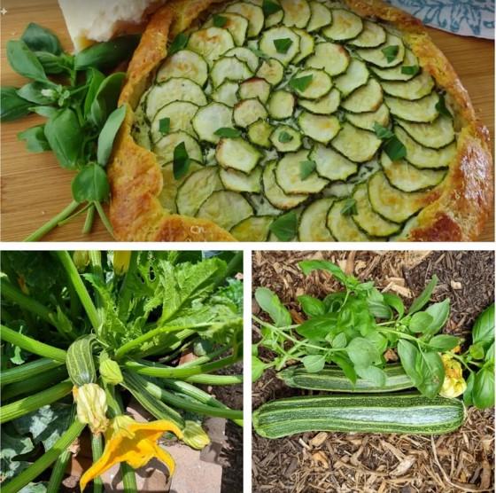 Rustic garden zucchini galette recipe